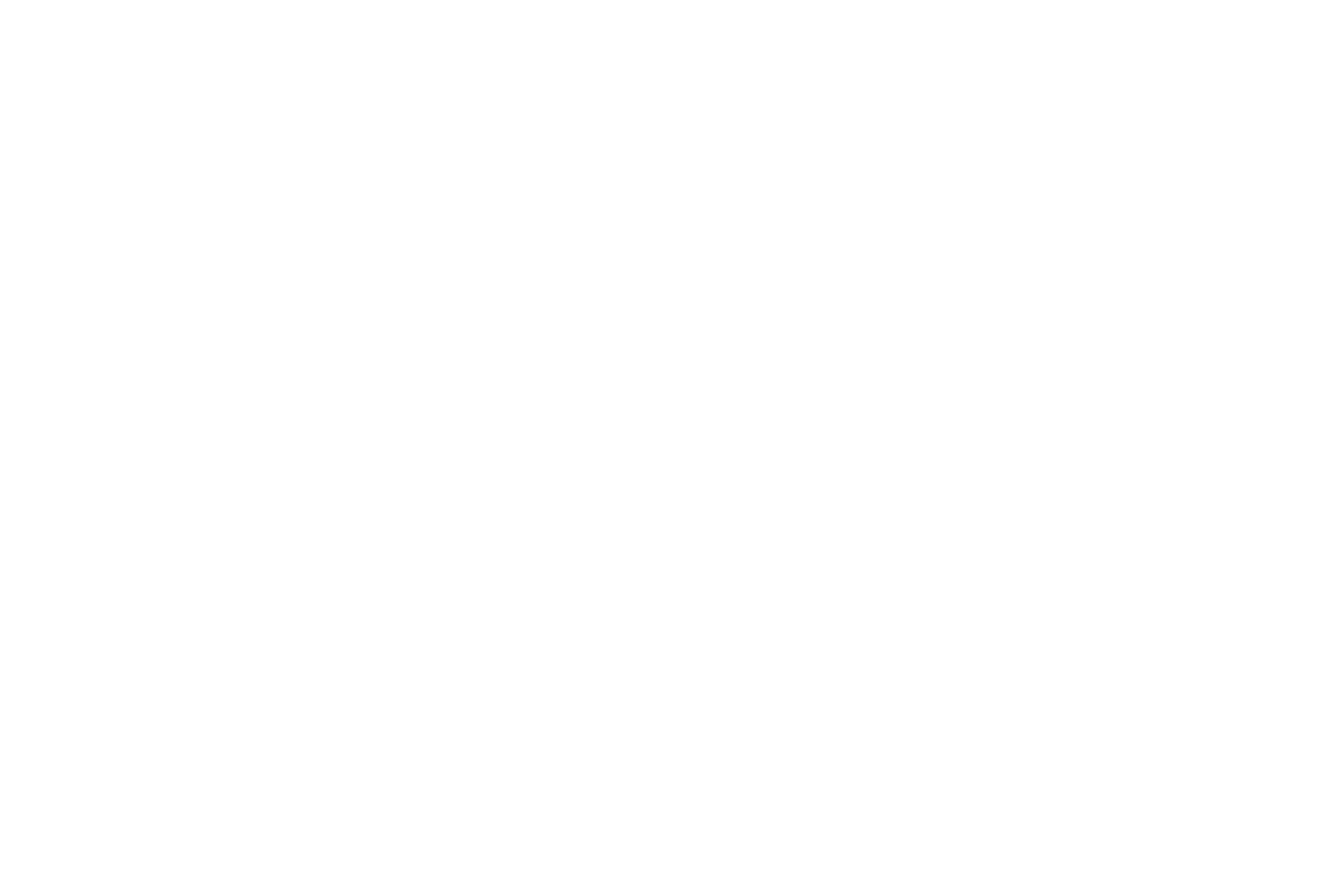 Twingital Institute